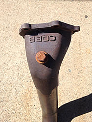 cobb catted dp-image-297558283.jpg