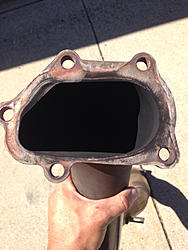 cobb catted dp-image-508662832.jpg