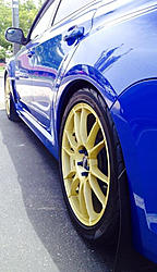 FT gold Oz Ultraleggeras-image-2355801930.jpg
