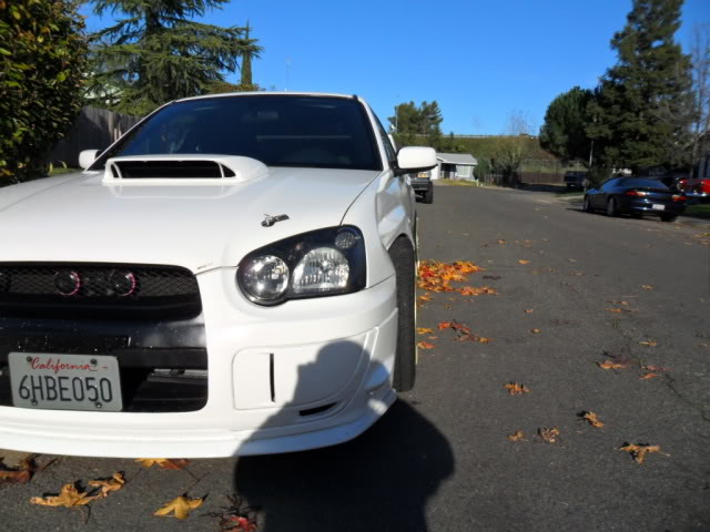 Name:  SAM_0554.jpg
Views: 203
Size:  57.0 KB