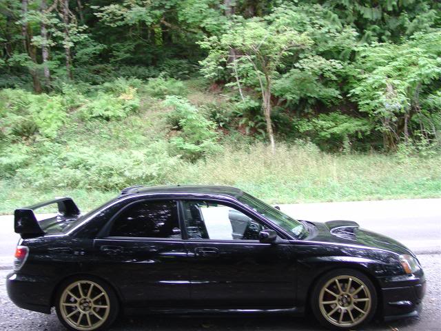 Name:  DSC00111.jpg
Views: 145
Size:  71.8 KB