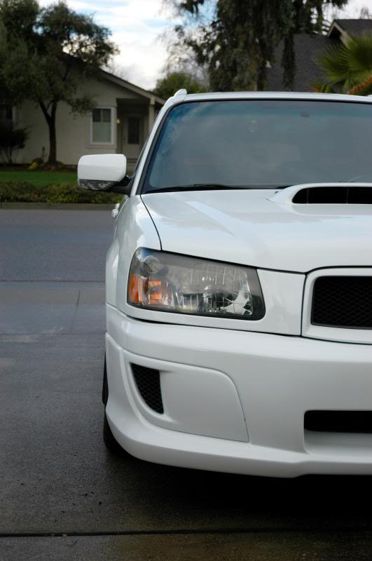 Name:  Forester4_zps1e6bcb6d.jpg
Views: 179
Size:  43.4 KB