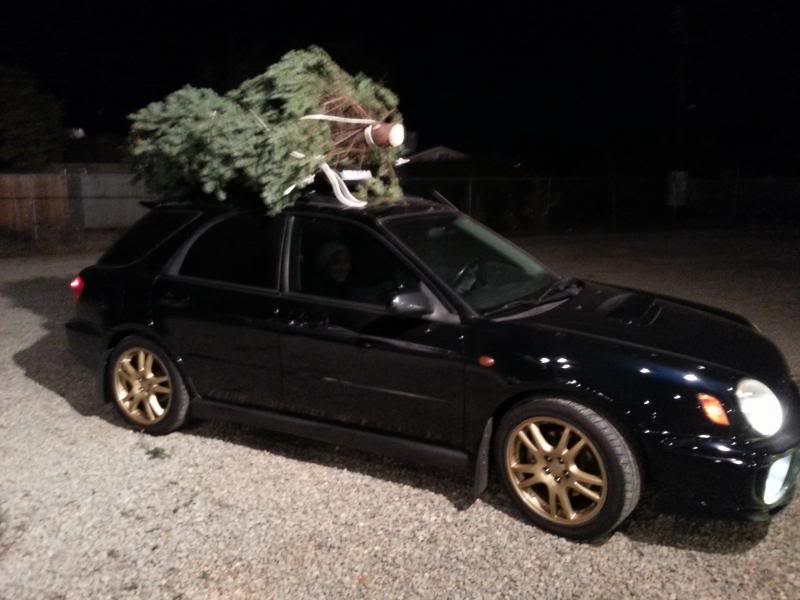 Name:  2013-12-04201548_zpse37d0d08.jpg
Views: 105
Size:  51.3 KB