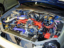 request for Alex-1.jpg