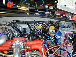 request for Alex-4.jpg