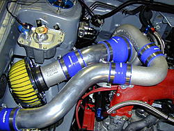 request for Alex-6.jpg