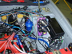 request for Alex-7.jpg