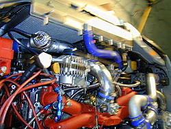 request for Alex-17.jpg