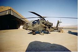 my bird,a real ride only behind the suby's-bird.jpg