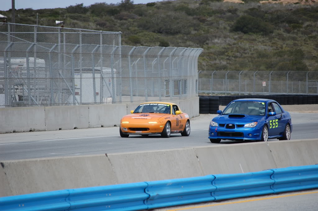 Name:  DSC_0290-1.jpg
Views: 174
Size:  113.0 KB