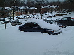 subies in snow-dscf0013.jpg
