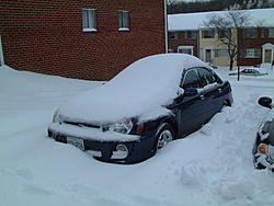subies in snow-dscf0014.jpg