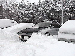 subies in snow-dsc00025.jpg
