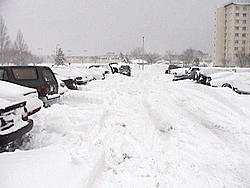 subies in snow-dsc00023.jpg