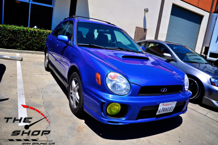 Name:  suby3.jpg
Views: 33
Size:  88.0 KB