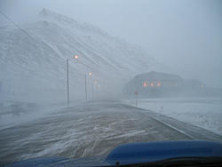 subies in snow-lybhallsub1l.jpg