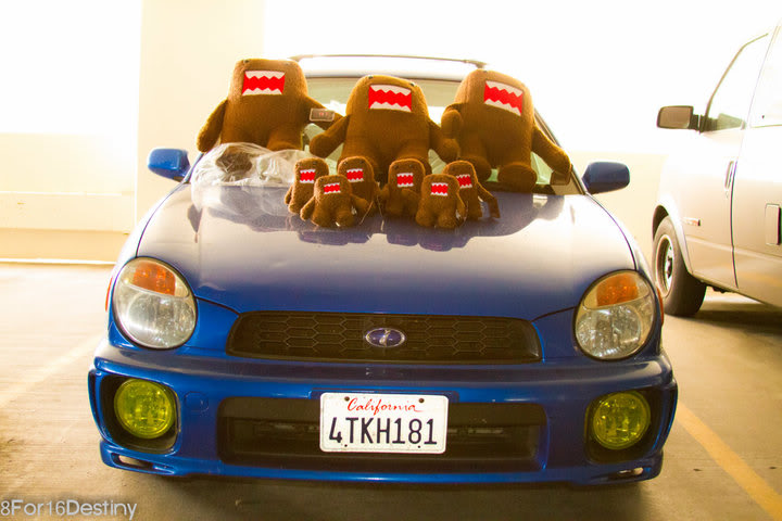 Name:  domowrx.jpg
Views: 67
Size:  73.3 KB