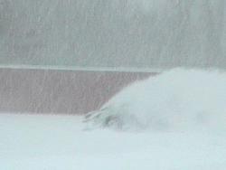 Me and WReXy playing in the snow!-snow-16.jpg