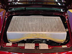 Think you got a big one.....-mvc-025s.jpg