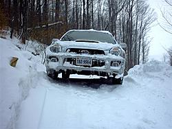subies in snow-feb14152.jpg