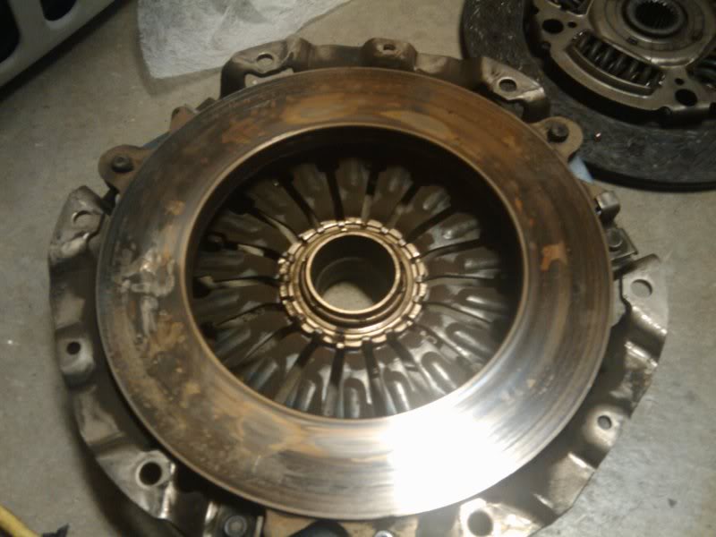 Name:  2010-07-19050327.jpg
Views: 241
Size:  52.8 KB