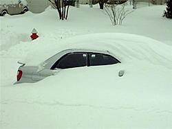 subies in snow-mar03271-small-.jpg