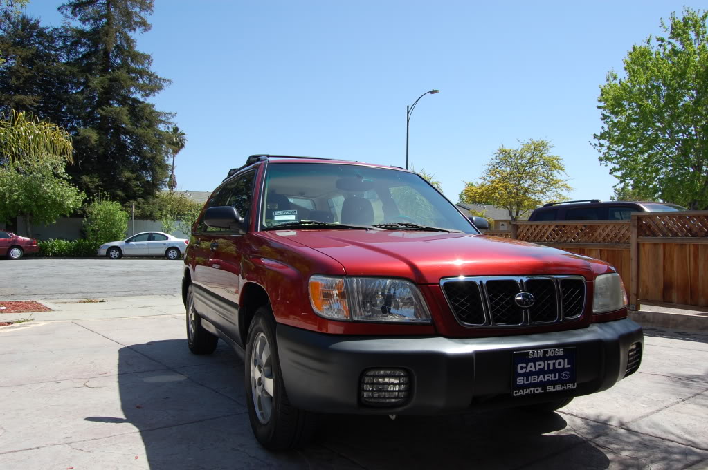 Name:  DSC_0162.jpg
Views: 628
Size:  167.8 KB