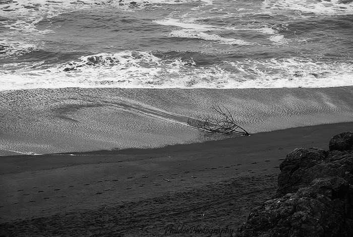 Name:  DSC_0134.jpg
Views: 10
Size:  110.6 KB