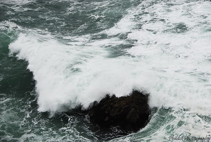 Name:  DSC_0059.jpg
Views: 10
Size:  105.4 KB