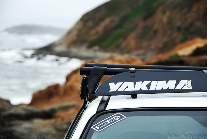 Name:  DSC_0085.jpg
Views: 7
Size:  47.7 KB