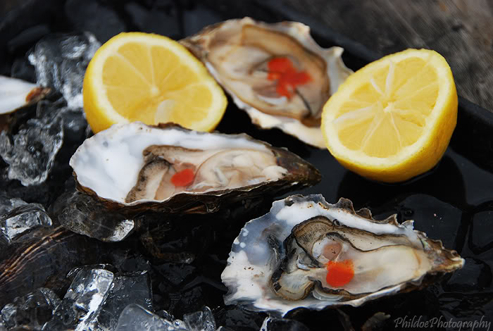 Name:  DSC_0220.jpg
Views: 9
Size:  73.1 KB