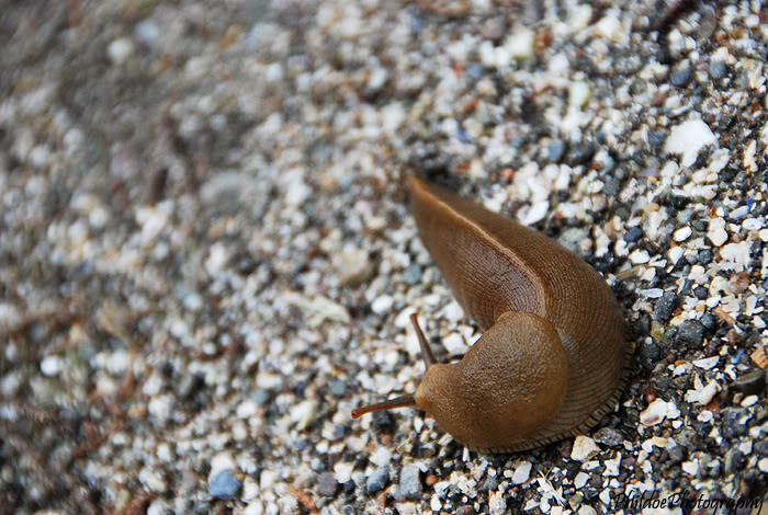 Name:  DSC_0230.jpg
Views: 9
Size:  99.1 KB