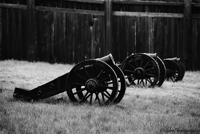 Name:  DSC_0208.jpg
Views: 11
Size:  78.4 KB