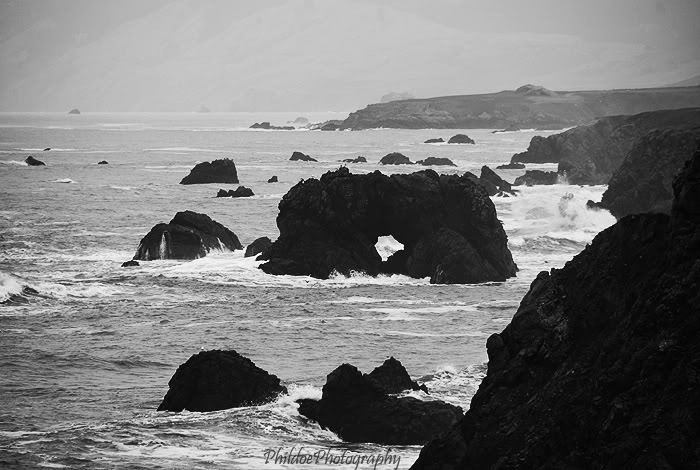 Name:  DSC_0153.jpg
Views: 10
Size:  74.9 KB