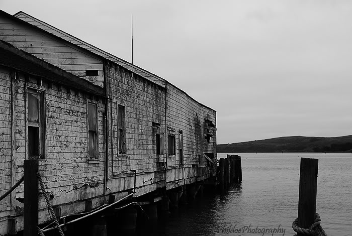 Name:  DSC_0122.jpg
Views: 10
Size:  78.5 KB