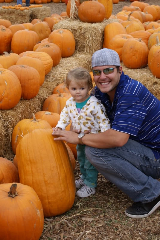 Name:  PumpkinpatchOct09114.jpg
Views: 41
Size:  128.8 KB