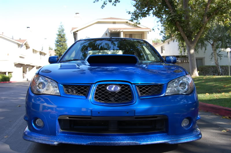 Name:  DSC_0317.jpg
Views: 211
Size:  130.5 KB