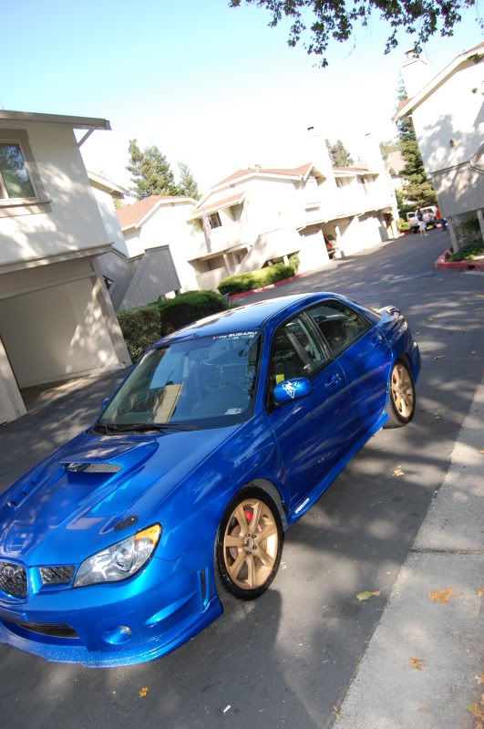 Name:  DSC_0321.jpg
Views: 211
Size:  123.5 KB