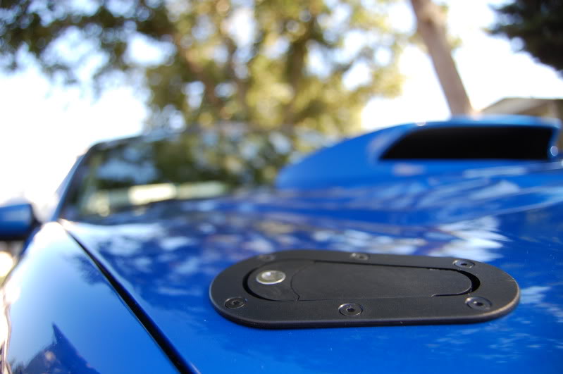 Name:  DSC_0332.jpg
Views: 209
Size:  76.9 KB