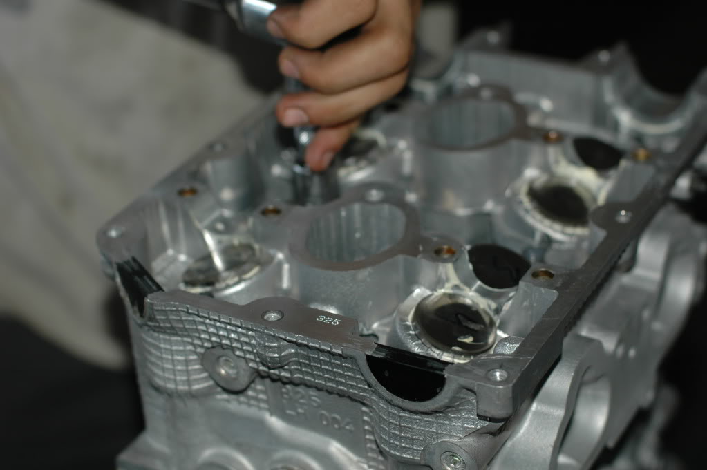 Name:  DSC_0300.jpg
Views: 20
Size:  86.1 KB