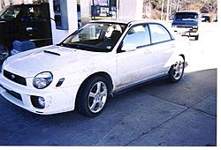 Picture Size-deer-camp-1.jpg