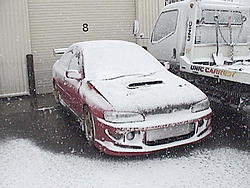 1st really snow fall-dsc00029.jpg