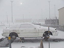 1st really snow fall-dsc00030.jpg