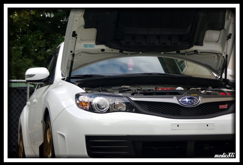 Name:  IMGP9782.jpg
Views: 96
Size:  71.5 KB