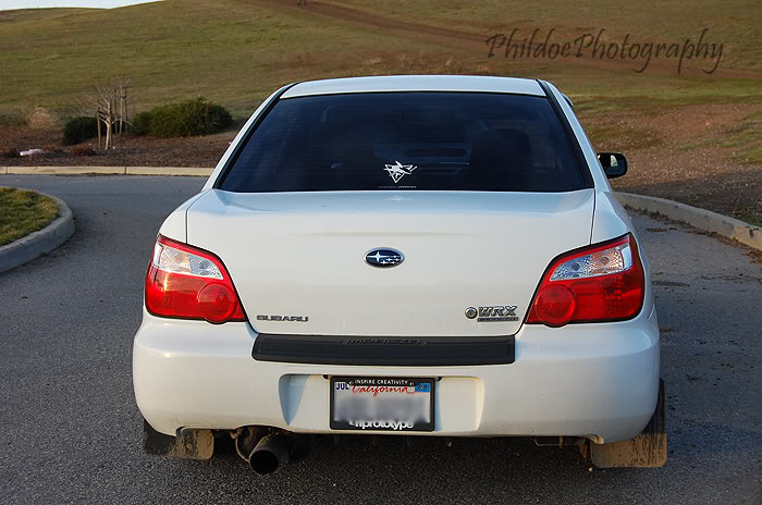 Name:  DSC_5000.jpg
Views: 14
Size:  79.4 KB