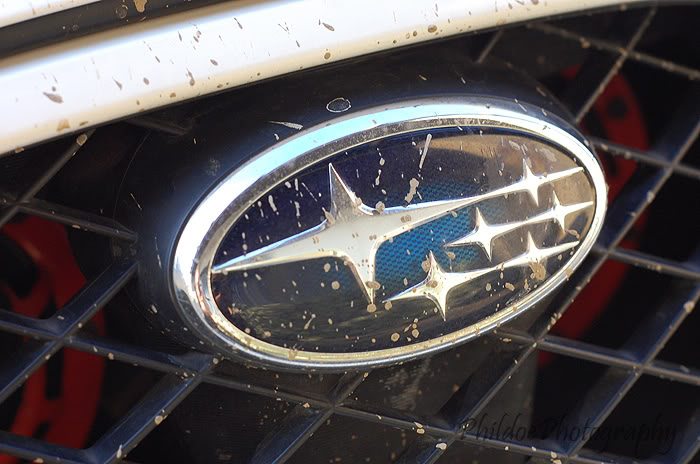 Name:  DSC_5024.jpg
Views: 16
Size:  70.0 KB