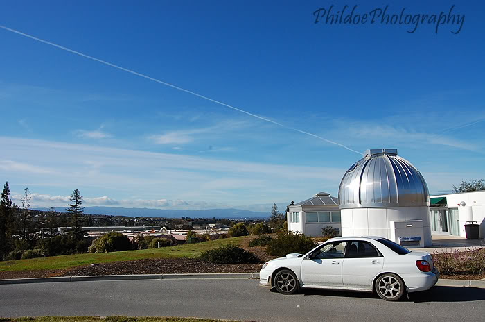 Name:  DSC_4945.jpg
Views: 13
Size:  66.9 KB