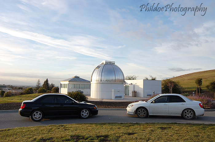 Name:  DSC_4955.jpg
Views: 13
Size:  73.0 KB