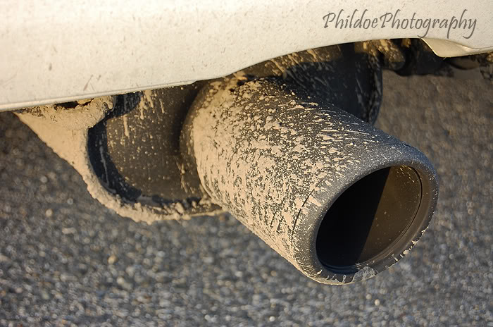 Name:  DSC_4998.jpg
Views: 14
Size:  90.4 KB