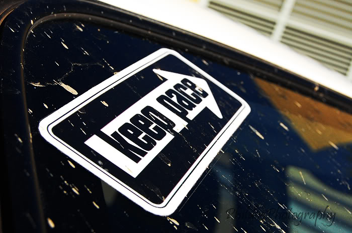 Name:  DSC_4934.jpg
Views: 12
Size:  73.7 KB